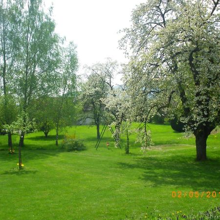 Entre Thur Et Montagne Bed and Breakfast Willer-sur-Thur Εξωτερικό φωτογραφία