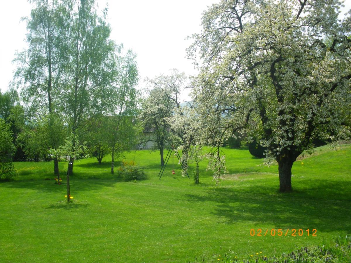 Entre Thur Et Montagne Bed and Breakfast Willer-sur-Thur Εξωτερικό φωτογραφία